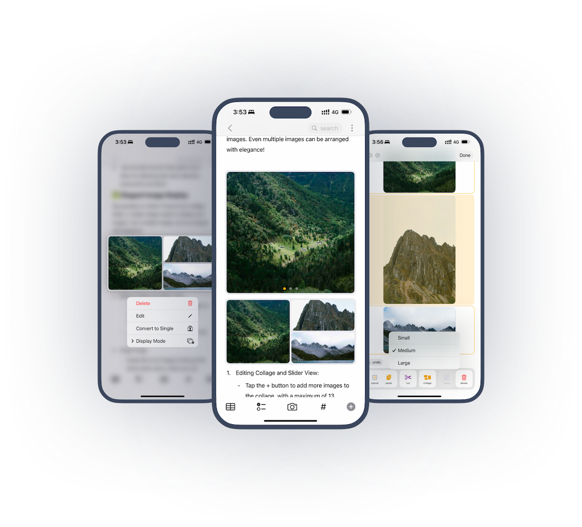 Image display feature showcase