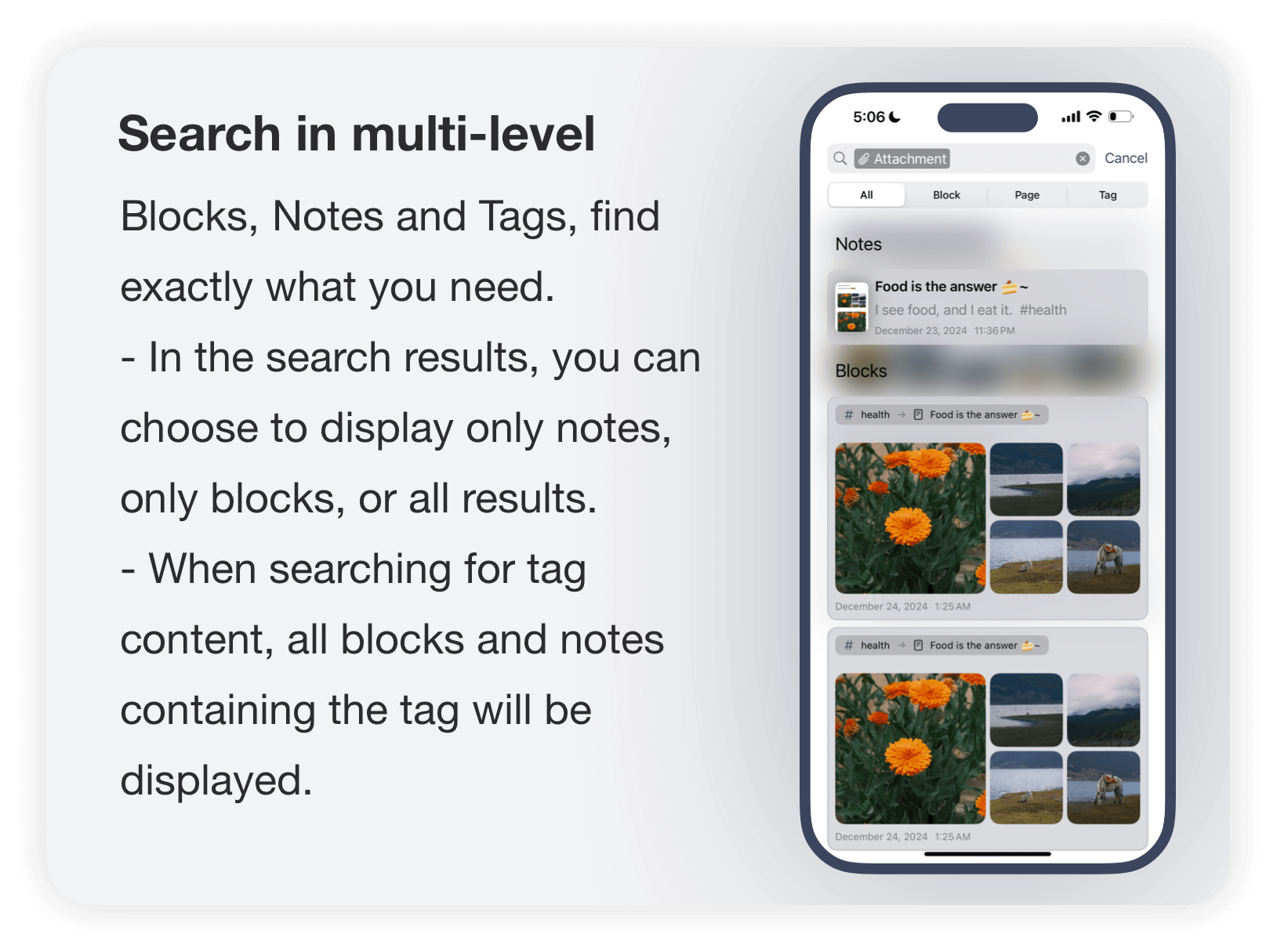 Multi-level search feature